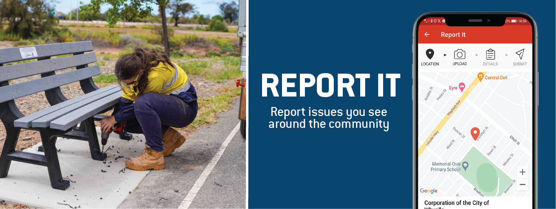 report it