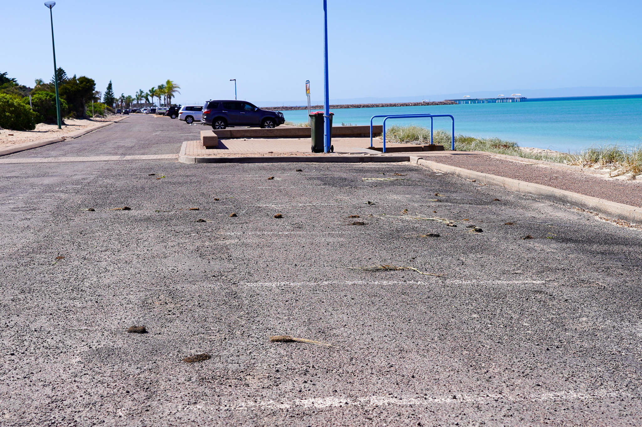 Vandalism at the beach