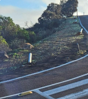 Vandalised Bollards at Hummock Hill.