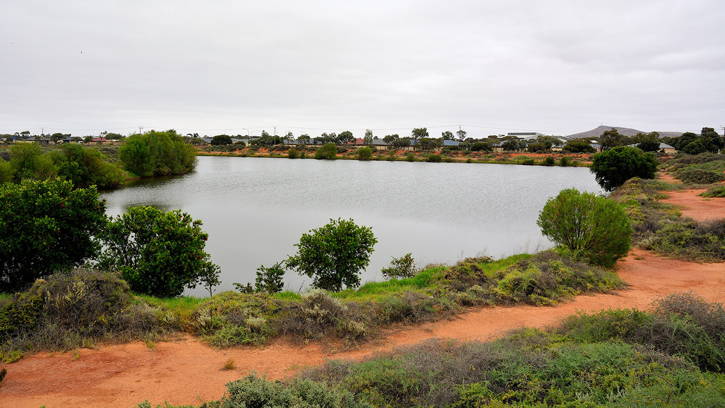 wetlands