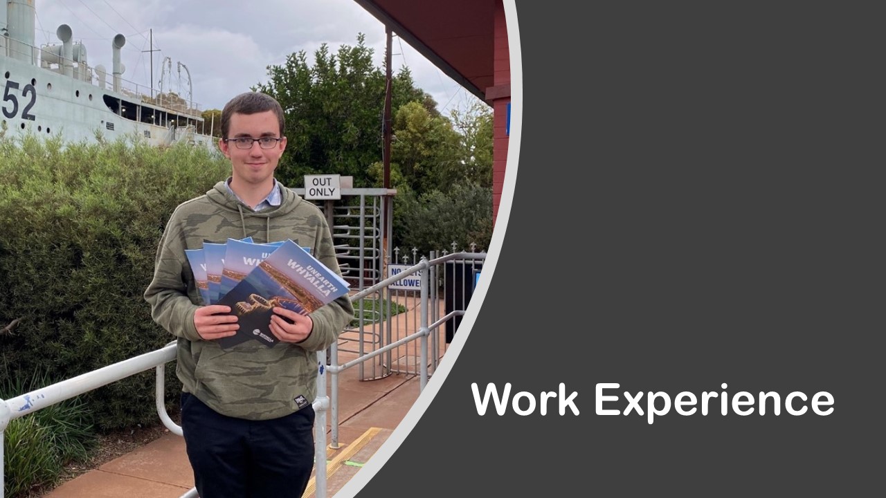 work experience