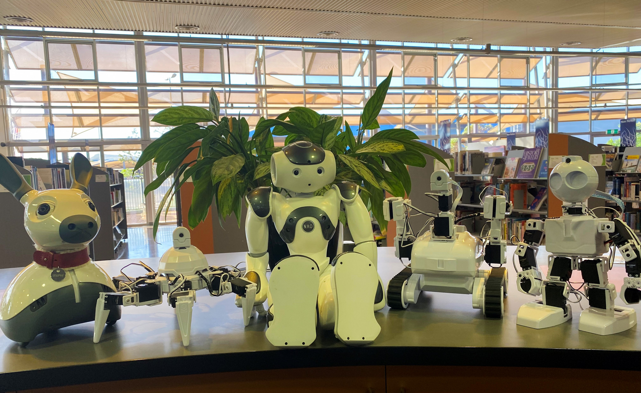 Library robots lined up on the counter